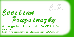 cecilian pruzsinszky business card